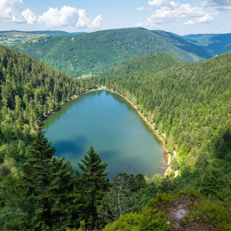 lac-corbeaux-la-bresse-1